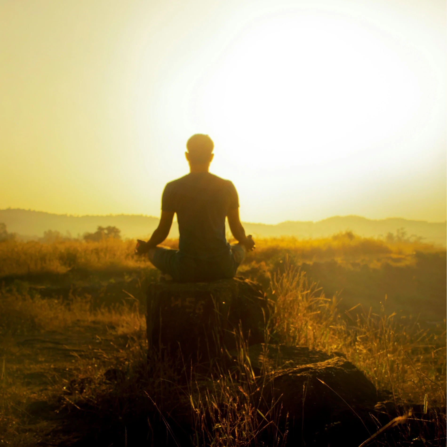 Stress Management